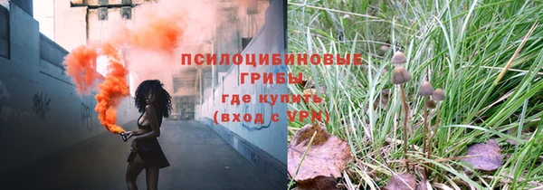 a pvp Богородск